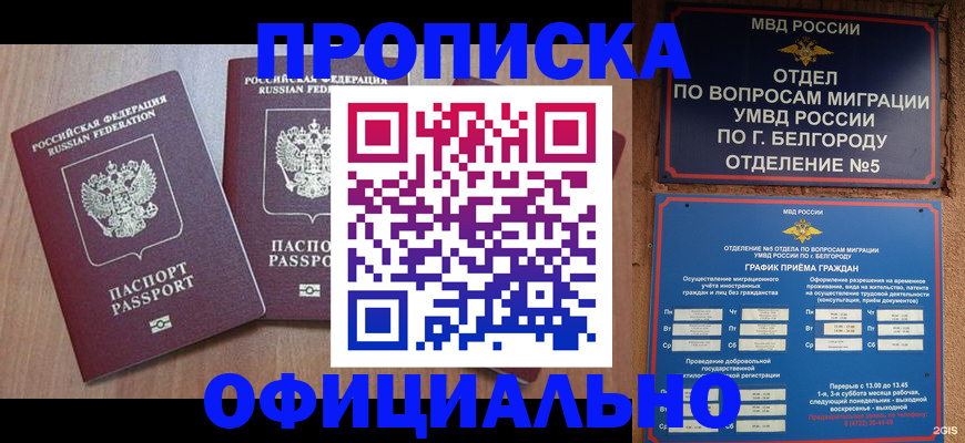 найти адрес прописки в Дедовске